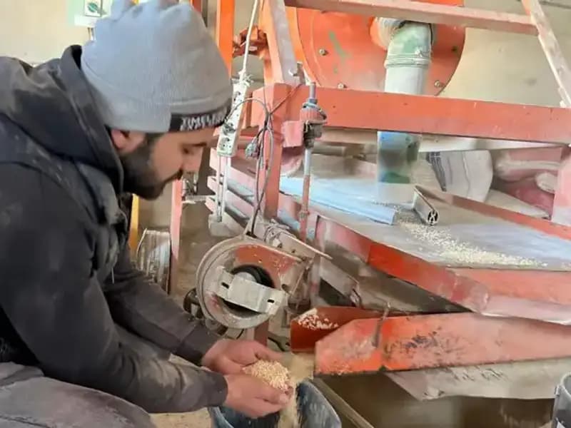 Baharın Gelişiyle İş Hayatında Canlanma: Gece Gündüz Çalışanlar