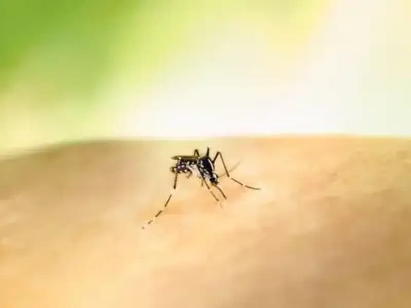 Kolombiya’da Sarıhumma Tehlikesi: Cumhurbaşkanı Petro’dan Aşı Olma Çağrısı