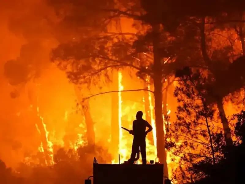 İzmir ve Bursa'daki Yangınlarda Şok Gelişme: İki Şüpheli Tutuklandı!