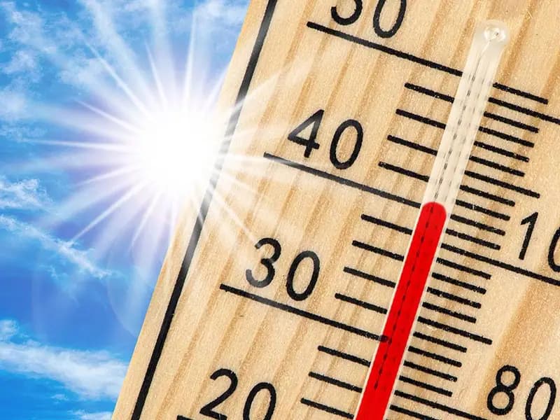 Dünya 2024'te en sıcak yılı yaşadı