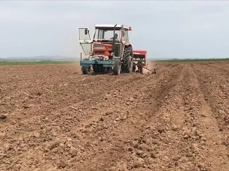 Son 35 Yılda Görülen En Kurak Mart Ayı: Yağışlar Yüzde 59 Düşüş Gösterdi