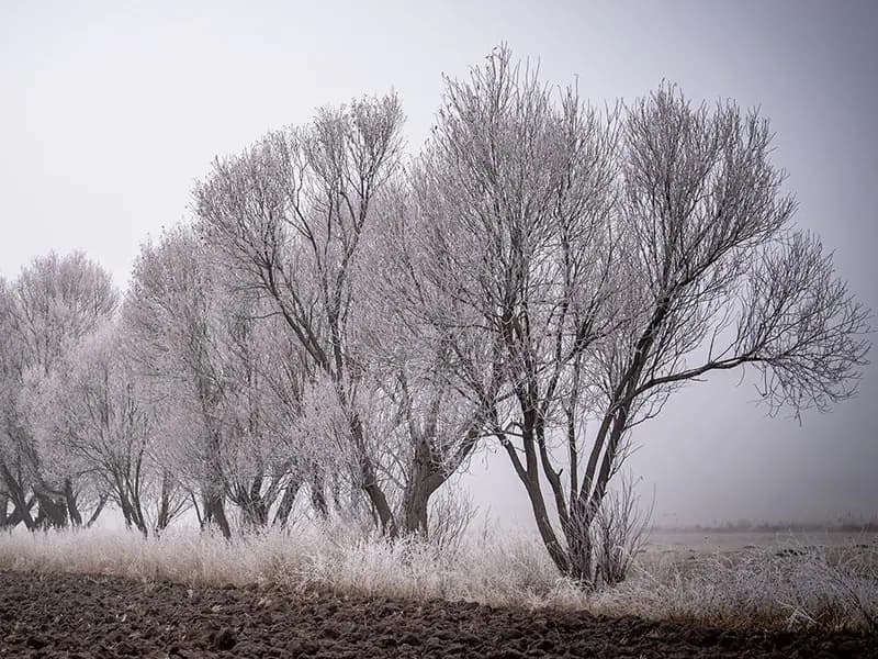 Doğu buz kesti: Erzurum'da sıcaklık -18 dereceyi gördü