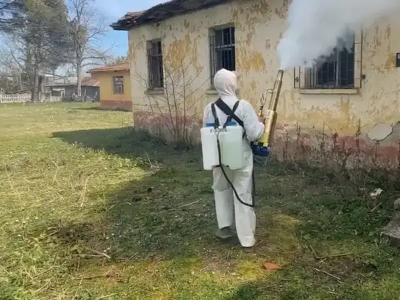 Çiftçiler Kahverengi Kokarca İle Mücadelede Seferber Oldu