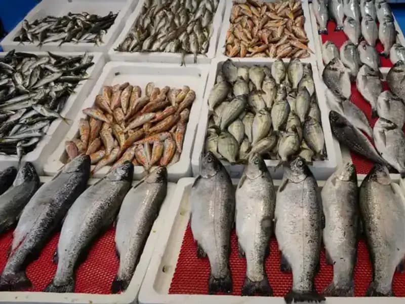 Yasaklar Geldi, Tezgâhlar Onlara Kaldı: Sokak Satıcılarının Yeni Dönemi