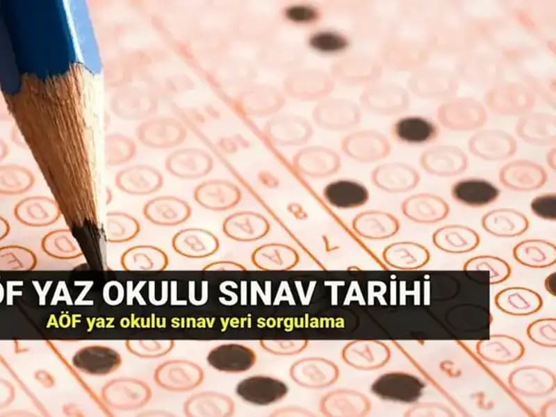 Anadolu Üniversitesi AÖF Yaz Okulu Sınavı İçin Giriş Belgeleri Yayınlandı!