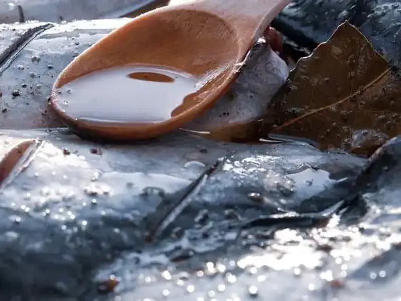 78 Yaşındaki Doktorun Yaşlanmayı Geri Alacak 7 Besin Tavsiyesi