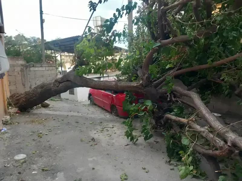 Hatay'da Şiddetli Fırtına: Ağaçlar Devrildi, Çatılar Uçtu!
