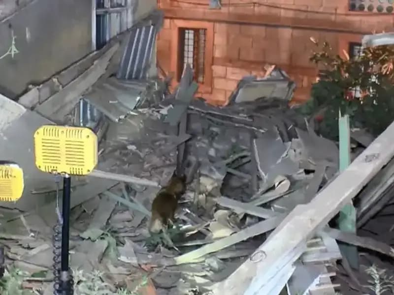 İstanbul'da Deprem Sonrası Çöken Bina, Büyük Panik Yarattı