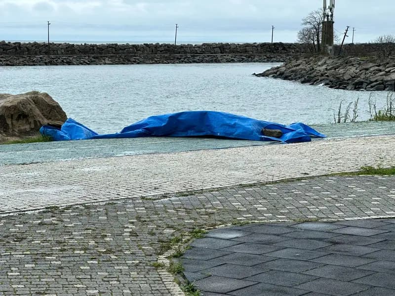 Ordu Fatsa'da Sahile İnsansız Hava Aracı Vurdu