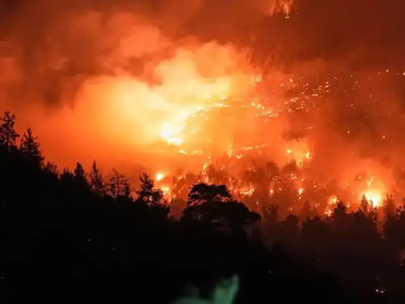 Bursa-Balıkesir Sınırında Orman Yangınına Müdahale Ediliyor: Son Durum Nedir?