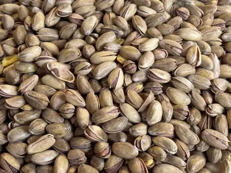 Yılın İlk Çeyreğinde Türkiye’nin Fıstık İhracatı 59,7 Milyon Doları Buldu