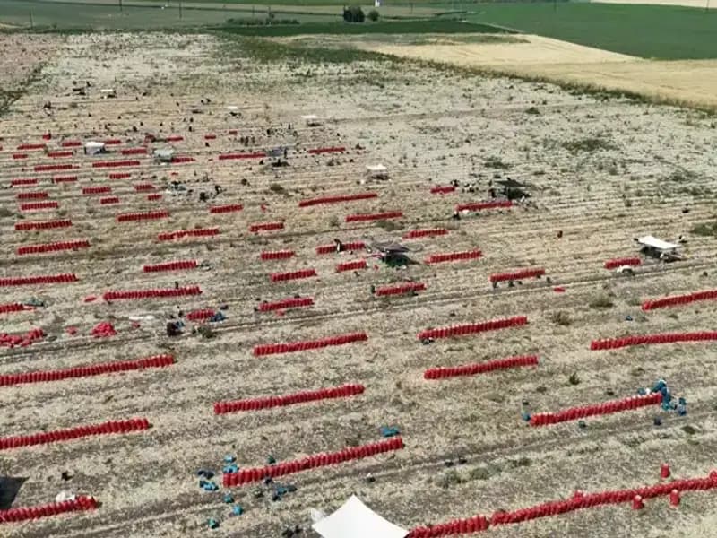 Tarlada Fiyatları Yükseltme Mücadelesi: 40 Derecede Çalışan Çiftçiler