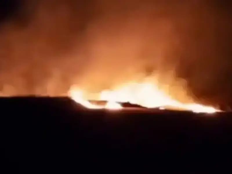 20 Dönümlük Tarım Alanında Büyük Yangın: Olayın Ayrıntıları Ortaya Çıktı