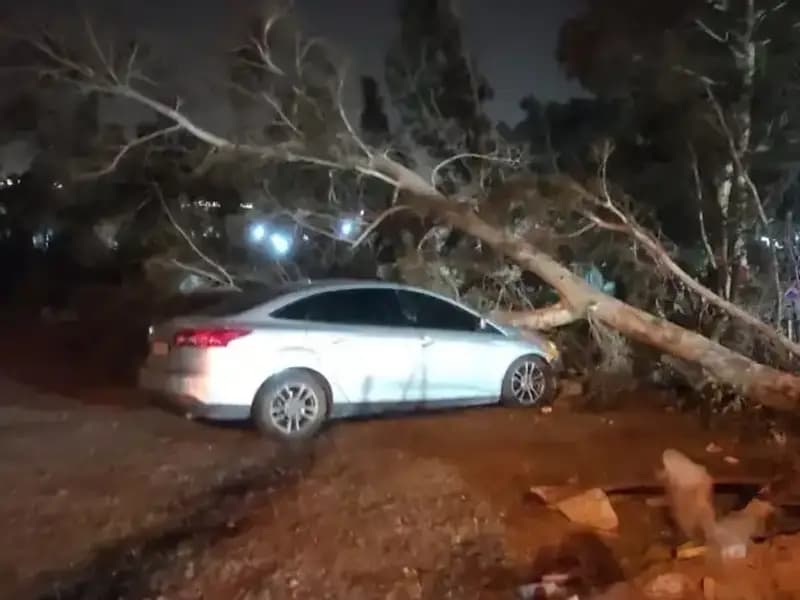 Hatay'da Şiddetli Fırtına, Tekneleri Devirdi ve Ağaçları Devrildi
