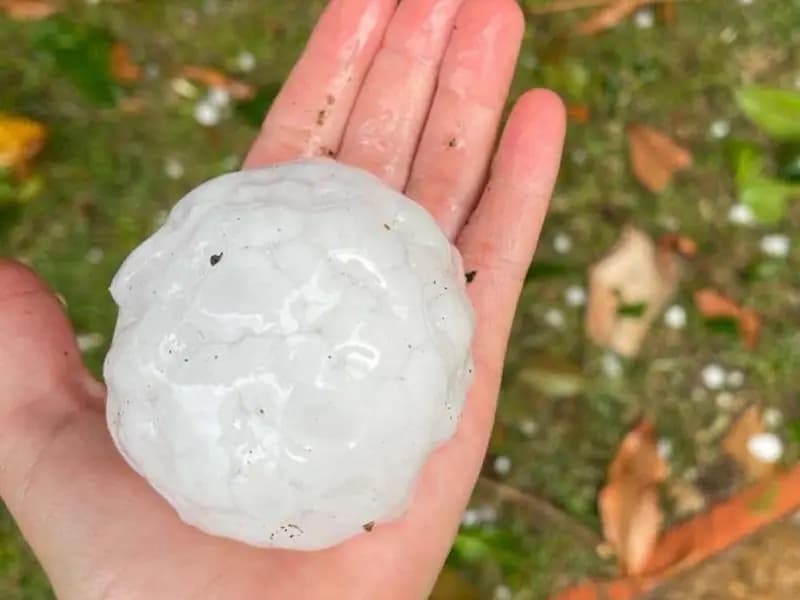 Dev Dolu Taneleri Kamera Görünümünde!