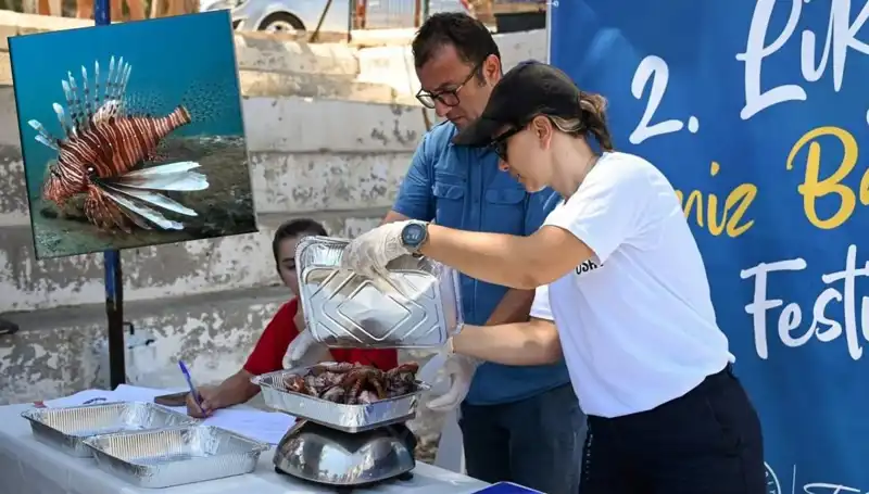 Antalya'da Heyecan Verici İstila: Aslan Balığı Avlama Yarışması
