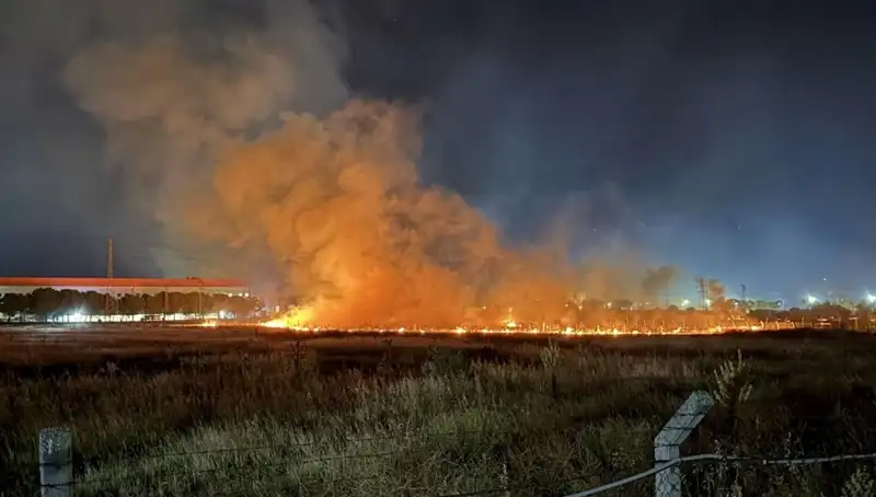 İzmir'de Gece Yarısı Ortaya Çıkan Yangın Panik Yarattı