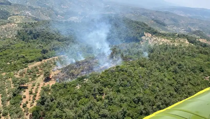 Aydın'da Korkutan Orman Yangını: Ekipler Seferber Olmuştu