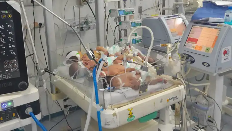 Gazzeli Doktorların Çağrısı: "Birden Fazla Bebek Aynı Kuvözde Yaşıyor"