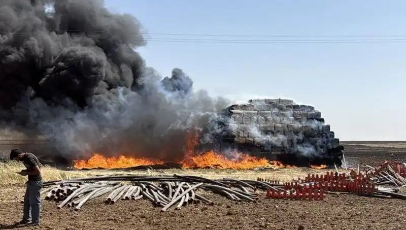 Mardin'de Korkutan Anız Yangını: Tarım Alanları Tehlikede