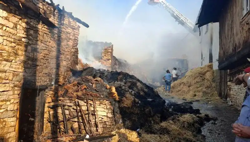 Köyde Çıkan Yangın: 4 Ev Kül Olurken, Kırgınlık Gölgesi