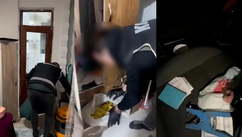 Hayvan Sevk Belgesi Usulsüzlüğü: Dev Operasyonla Dokuz Gözaltı!