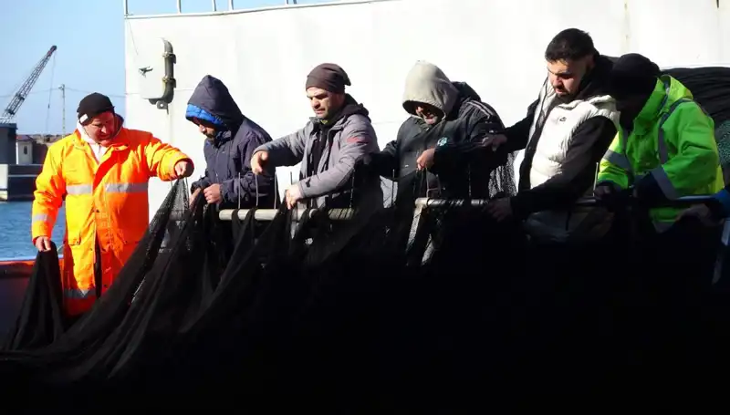 Denizlerde Hamsi Krizi: Avcılıkla Geçimlerini Sağlayanlar Bıçak Sırtında