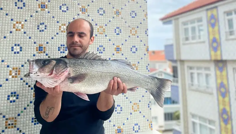 Dev Levrek Avında Rekor Kırıldı: 7,5 Kilogramlık Balık Yakalandı