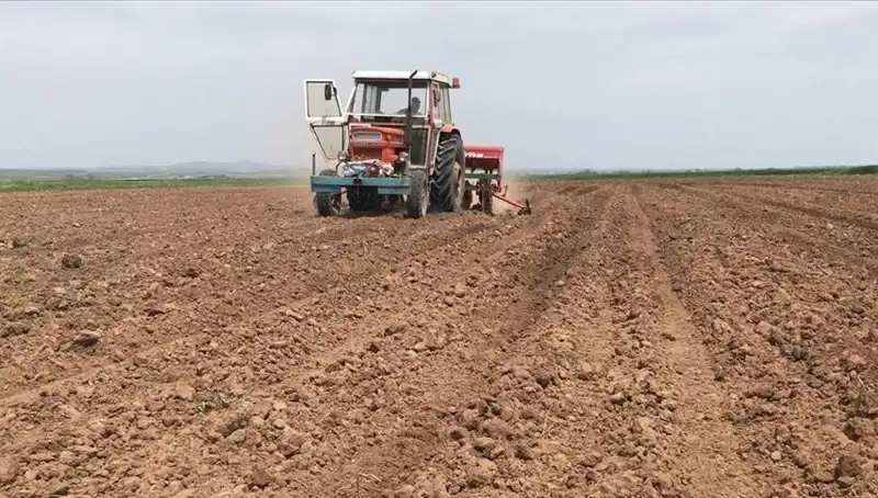 Son 35 Yılda Görülen En Kurak Mart Ayı: Yağışlar Yüzde 59 Düşüş Gösterdi