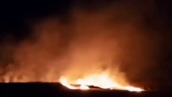 Tekirdağ’da 20 Dekar Buğday Tarlasını Küle Çeviren Felaket