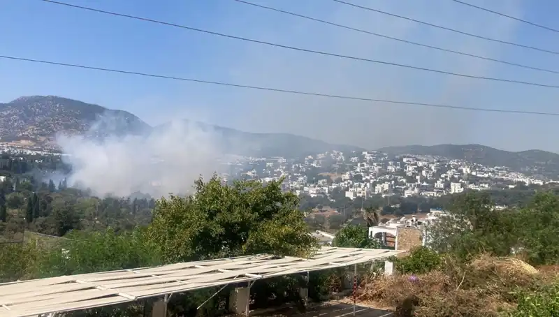 Muğla'daki Orman Yangınları Kontrol Altına Alındı: Ekipler Seferber Oldu