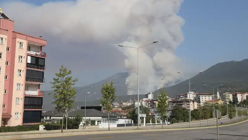 Denizli'de Orman Yangını: Şüpheli Gözaltında, Detaylar Belirsiz!
