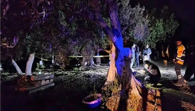 Çiftlikteki Vahşet Olayı: Baltalı Saldırgan Tutuklandı