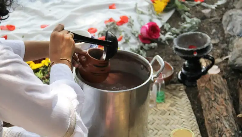 Ayahuasca: Gizemli Şifalı İçimlerin Sırları ve Yasal Durumu