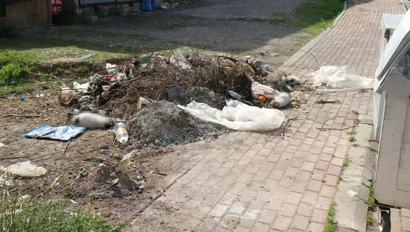 Antalya’da Korkunç Vahşet: 10 Kedi Ölü Bulundu ve İnceleme Başlatıldı
