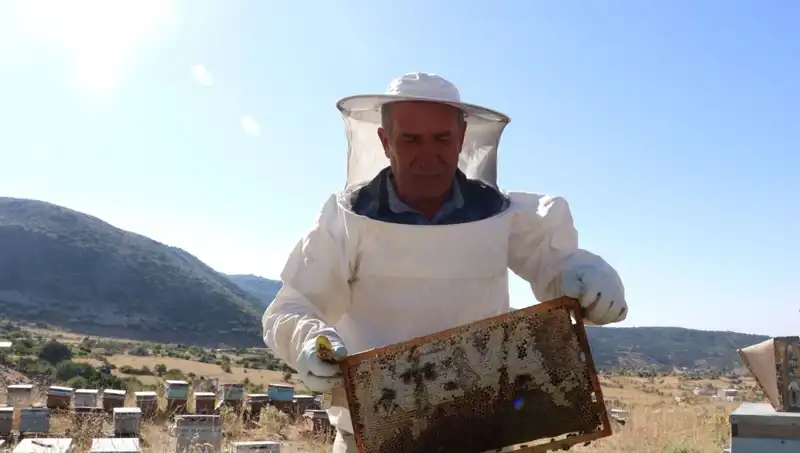 Mobilya İşini Bıraktı, Şimdi İki Ton Zeytinyağı Üretiyor