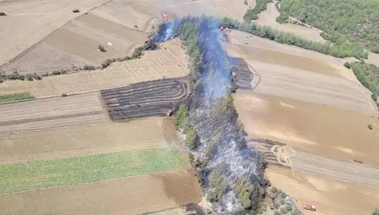 Adana Orman Yangını: Yangınla Mücadelede Son Durum ve Etkileri